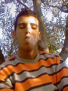 mon chou chou bien aim� 